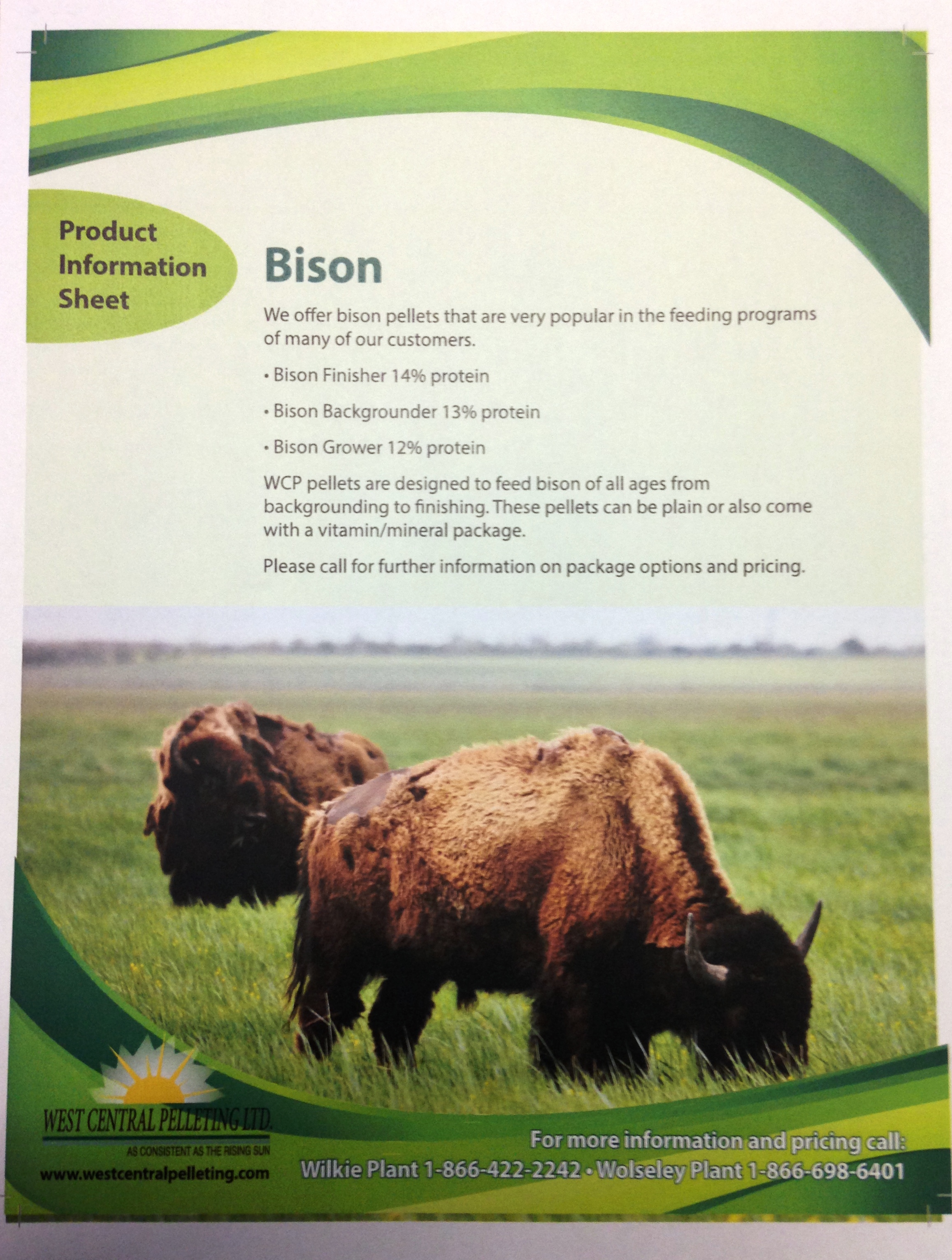 Bison  Product